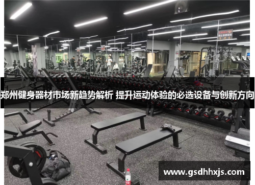 郑州健身器材市场新趋势解析 提升运动体验的必选设备与创新方向