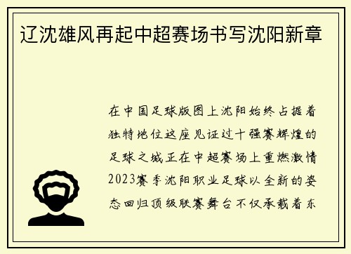 辽沈雄风再起中超赛场书写沈阳新章