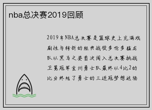 nba总决赛2019回顾